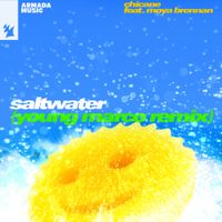 Chicane - Saltwater (Young Marco Remix)