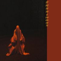 Dinosaur Jim - Stressing On Ghosts