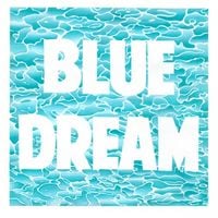 Turnover - Blue Dream