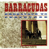 The Barracudas - Endeavour to Persevere