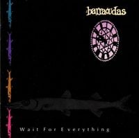 The Barracudas - Wait for Everything