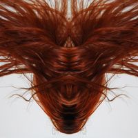 Dave Phillips - A Collection of Hair