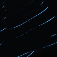 Reirwg - Enterprises
