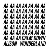Alison Wonderland - Calm Down