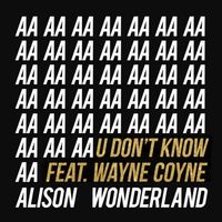Alison Wonderland - U Don't Know