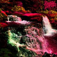 Serotonin Leakage - Mescaline Power II (Part II)