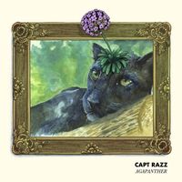 Captain Razz - Agapanther