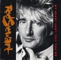 Rod Stewart - My Heart Can't Tell You No