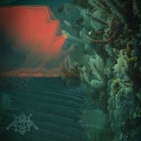 Empress Insecta - Mourning in Protest