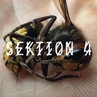 Various Artists - SEKTION 4