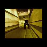 Crashdrive - Fleas: Everywhere, All the Time