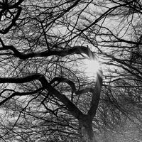 Corrupted - Pray for the HOLLOW Sun