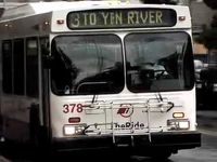 Tally Hall - What You Don't Know - Buses