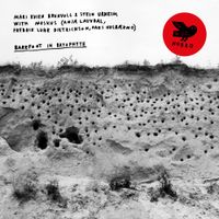 Mari Kvien Brunvoll, Stein Urheim & Moskus - Barefoot in Bryophyte