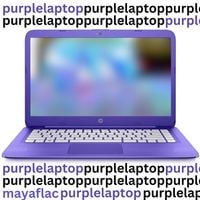 MayaFLAC - purple laptop