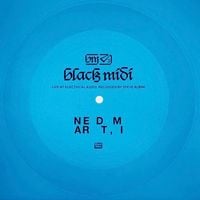 black midi - Near DT, MI (Live at Electrical Audio, Recorded by Steve Albini)