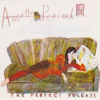 Annette Peacock - The Perfect Release