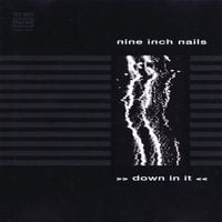 Nine Inch Nails - Down in It
