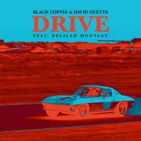 Black Coffee - Drive (feat. David Guetta & Delilah Montagu)