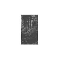 Clarity - Penkiolika