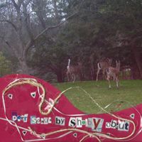Mentalt Syk - Deer Songs
