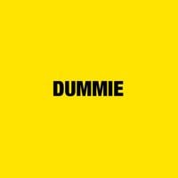 A$AP Rocky - DUMMIE
