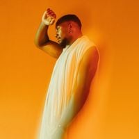 Chromonicci - Fold The Light.