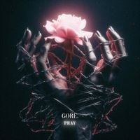 Gore. - Pray