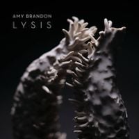 Amy Brandon - Amy Brandon: Lysis