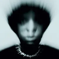 Gallant - Crimes of Compassion.