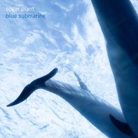 Sugar Plant - blue submarine