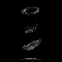 Kayzo - DOMINATION