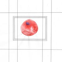 Russel The Leaf - Thought to An End