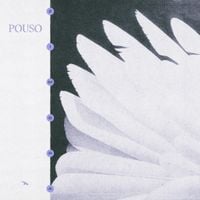 Zimbra - Pouso