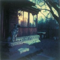 nolife - Grief (Album)