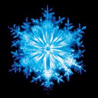 Coil - The Snow