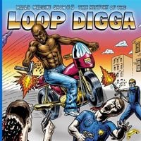 Madlib - Madlib Medicine Show #5: History of the Loop Digga, 1990&ndash;2000