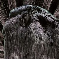 Fleshpress - Viimeinen saavutettu tahto