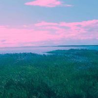 iZeo - The Sea