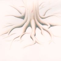Molina - Organs