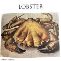 Malaysiabrunei - LOBSTER