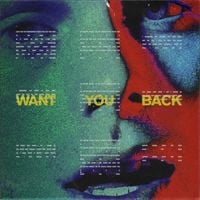 5 Seconds of Summer - Want You Back