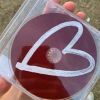 bnkr44 - I ♡ VILLANOVA 2