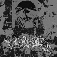 VIVISEPULTURE - DIRTY SLAMS 2