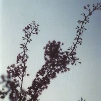 Mokira - Album