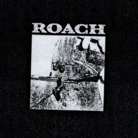 ROACH - DEMO