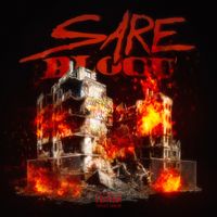 Ian - Sare Blocu