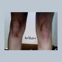 Sloppy Jane - Willow