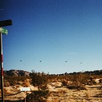 Godspeed You! Black Emperor - GREY RUBBLE &ndash; GREEN SHOOTS