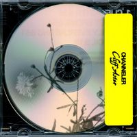 Channeler - Cliff Aster